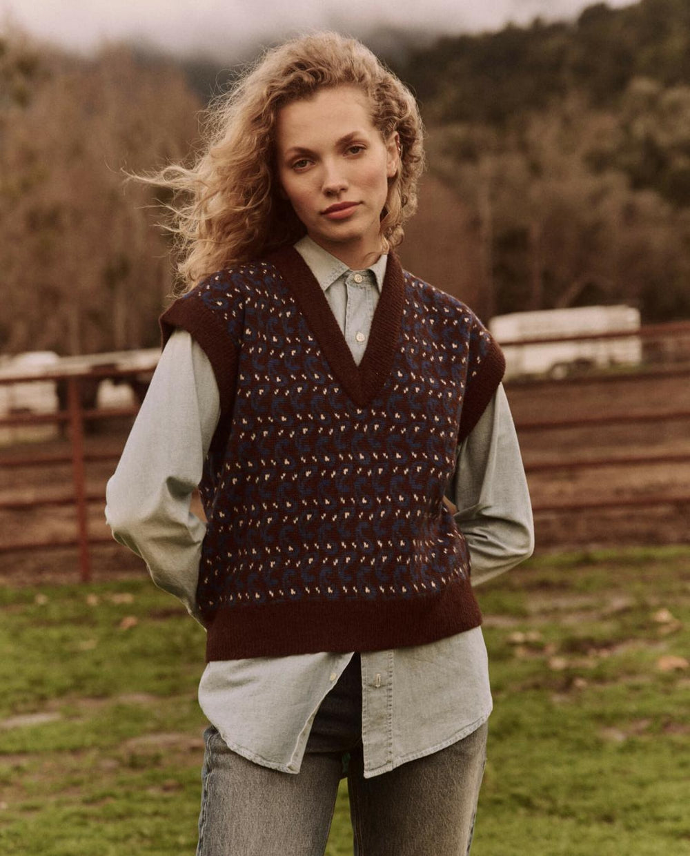 Sweaters | Women The Great. The Sweater Vest. Driftwood Paisley