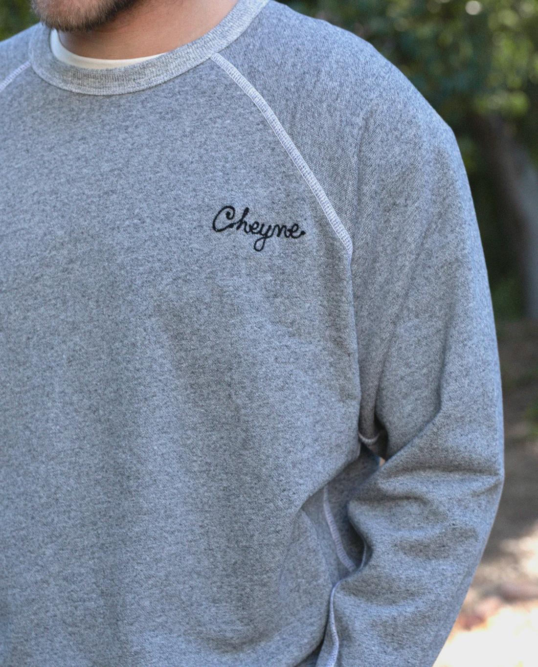 Tees &amp; Sweats | Men The Great. The Men's College Sweatshirt. Varsity Grey