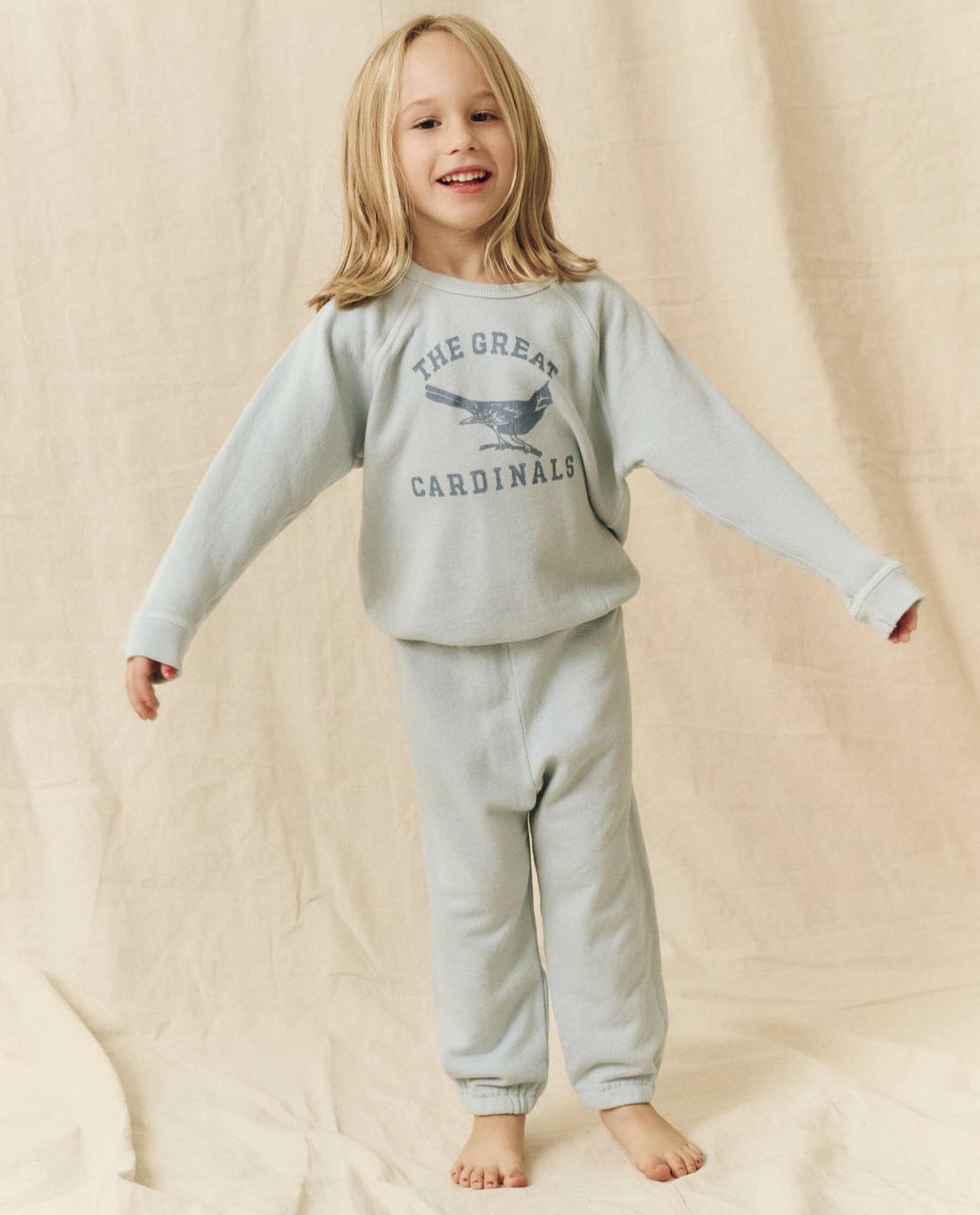 Tees &amp; Sweats | Kids The Great. The Little College Sweatshirt. Graphic Light Sky With Perched Cardi